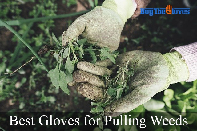 best gloves for weed pulling
