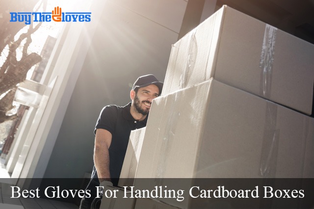 best gloves for handling cardboard boxes